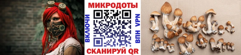 цена наркотик  Руза  Псилоцибиновые грибы Cubensis 